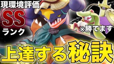 【ポケユナ初心者向け】【環境適正◎】環境ポケモン対策可能！上ルートNo.1のガブリアスが強すぎるwwww【ポケモンユナイト】