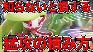 【ポケユナ攻略】【絶対に見ろ】知らないとヤバい〝猛攻の基礎知識〟をあなたは知っていますか?【ポケモンユナイト】【実況解説】