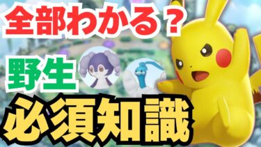 【ポケユナ解説】【全員必見！】野生ポケモンのこと、本当に理解できてますか？知らないとヤバい重要なポイントをプロが初心者にもわかりやすく解説します！【ポケモンユナイト】