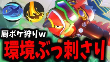 【ポケユナ最強】【ポケモンユナイト】現環境最強たちを「ワンコン」していくファイアローがマジでヤバイｗｗｗ